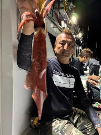 マイカ(ケンサキイカ)