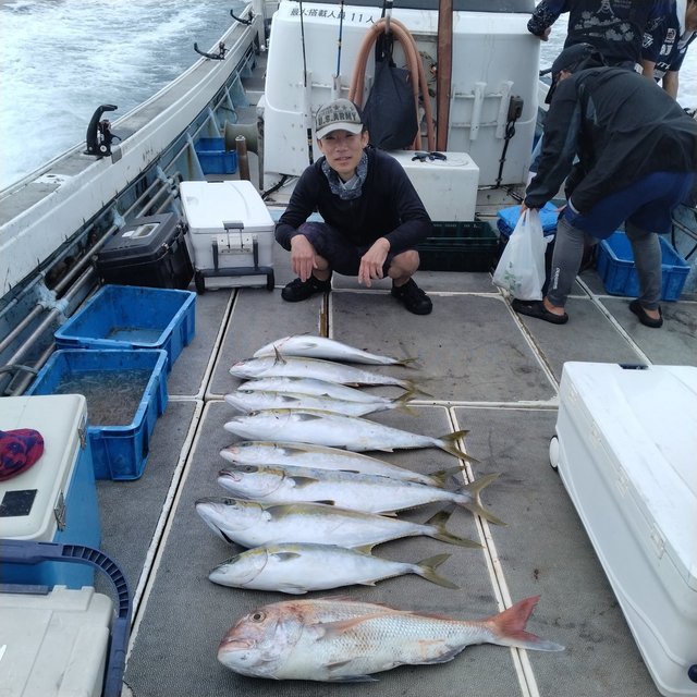 マダイ・ブリ・ヤズ(ブリ)