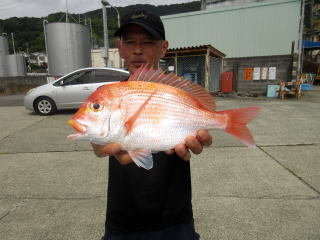 レンコダイ(キダイ)