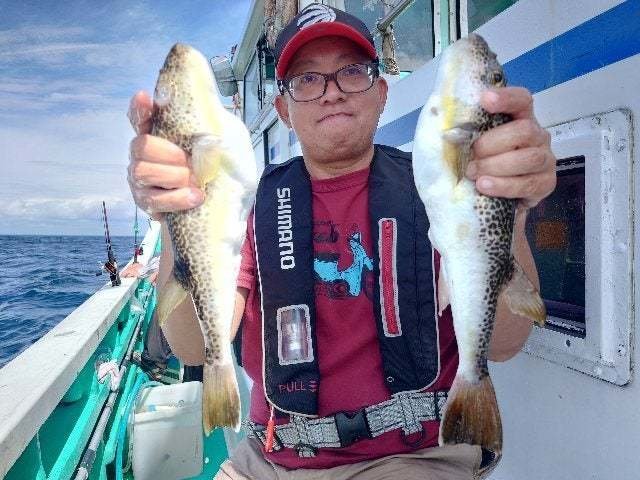 ショウサイフグ