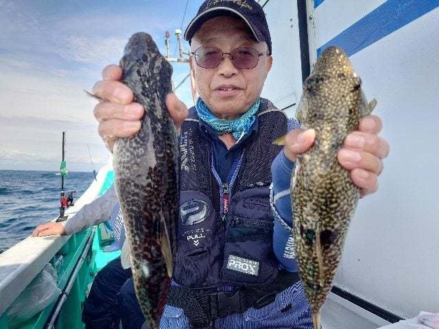 ショウサイフグ