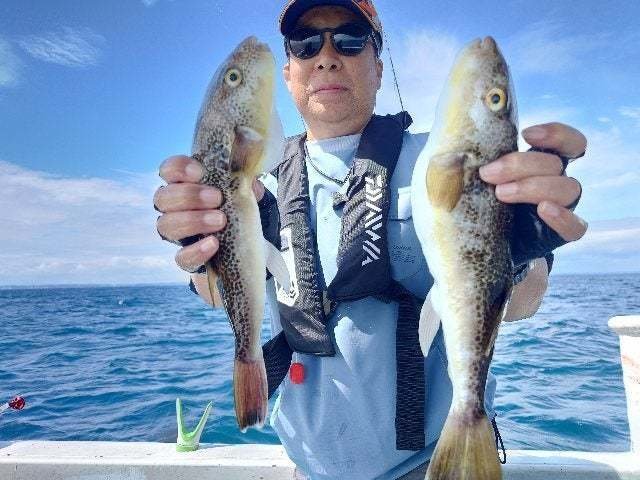 ショウサイフグ