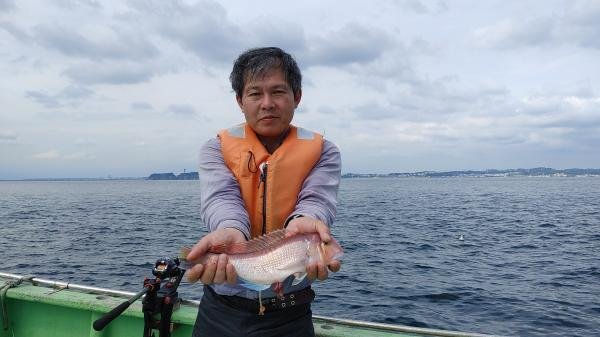 アマダイ(アカアマダイ)