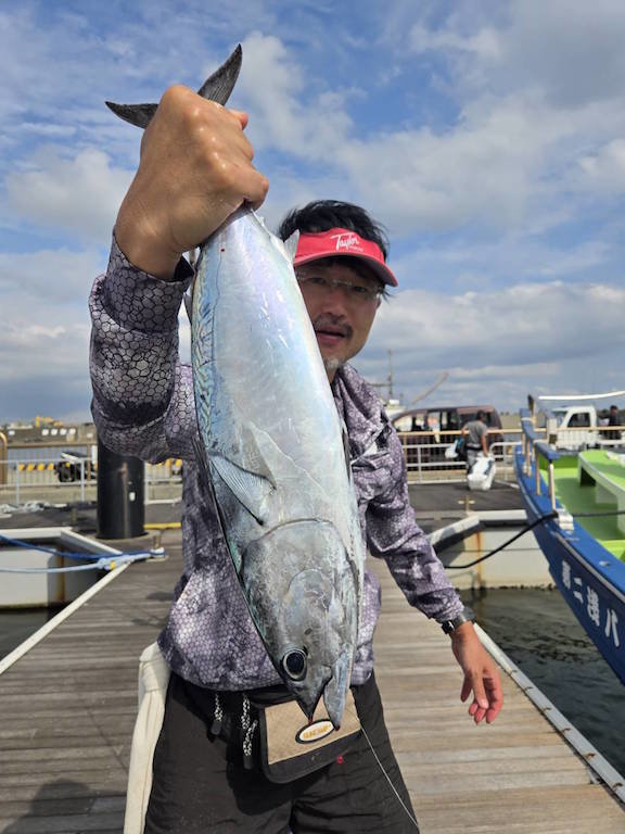 ソーダ(ヒラソウダ)