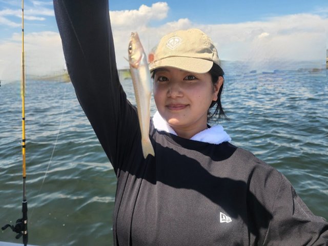 キス(シロギス)