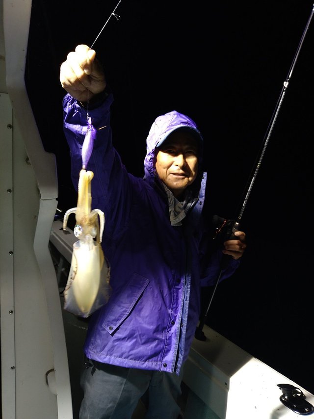 イカ(ケンサキイカ)