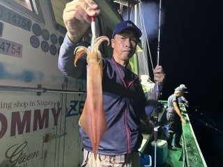 アカイカ(ケンサキイカ)