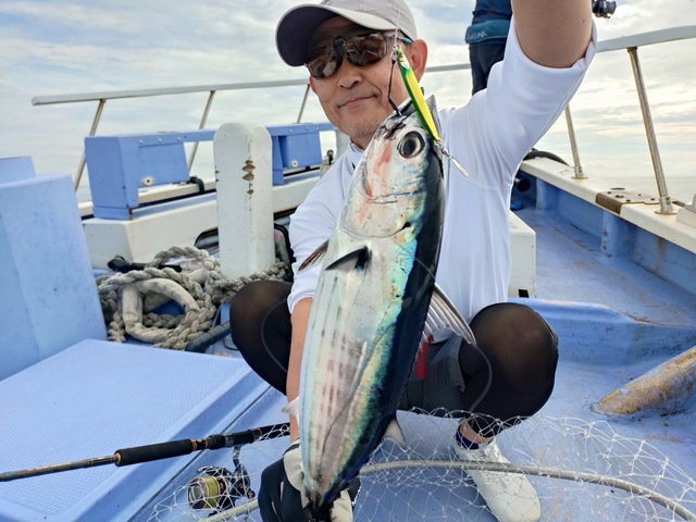 ソーダガツオ(ヒラソウダ)