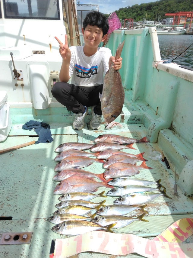 マダイ・マアジ・マサバ