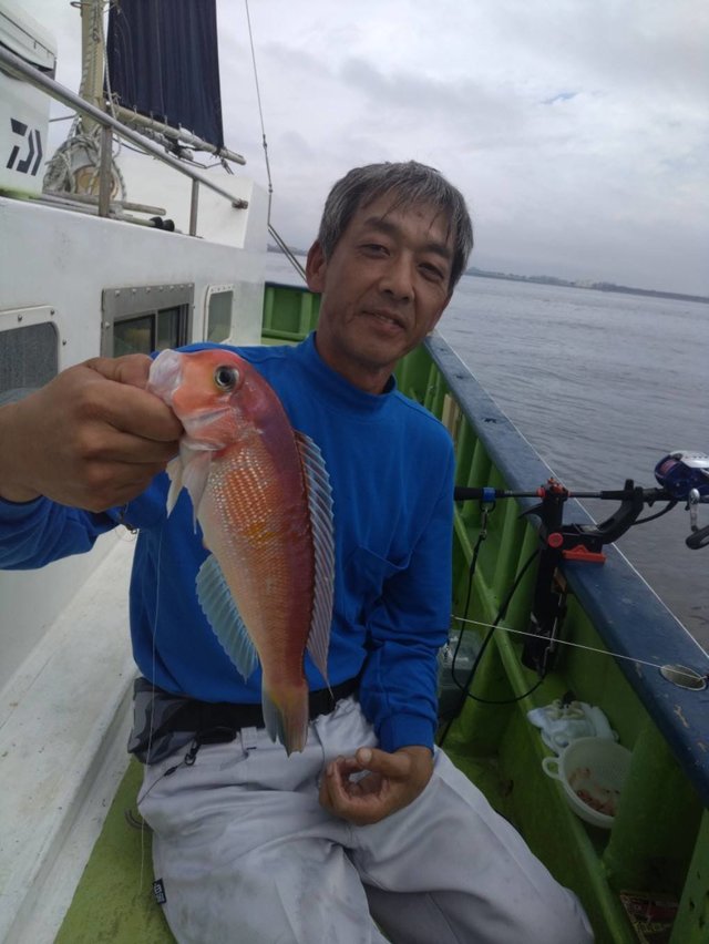 アマダイ(アカアマダイ)