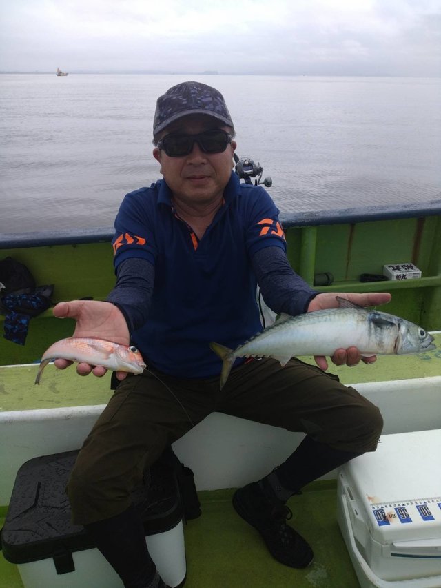 アマダイ(アカアマダイ)