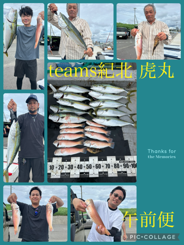 アオハタ・メジロ(ブリ)・シロアマダイ