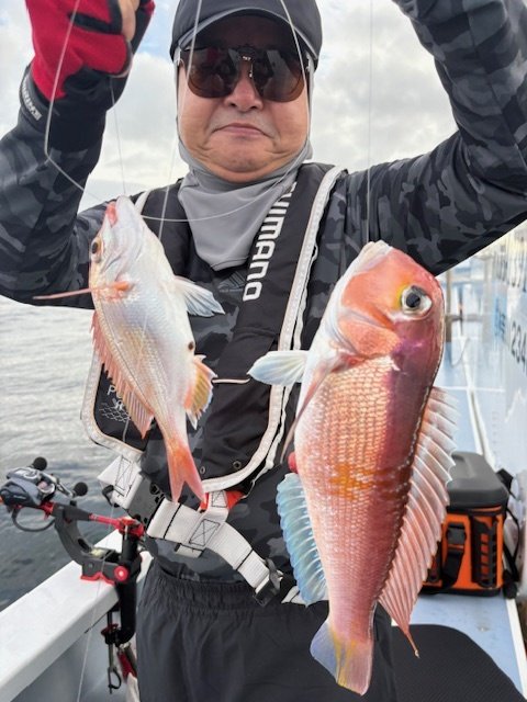 レンコダイ(キダイ)・アマダイ(アカアマダイ)