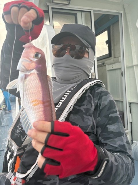 アマダイ(アカアマダイ)