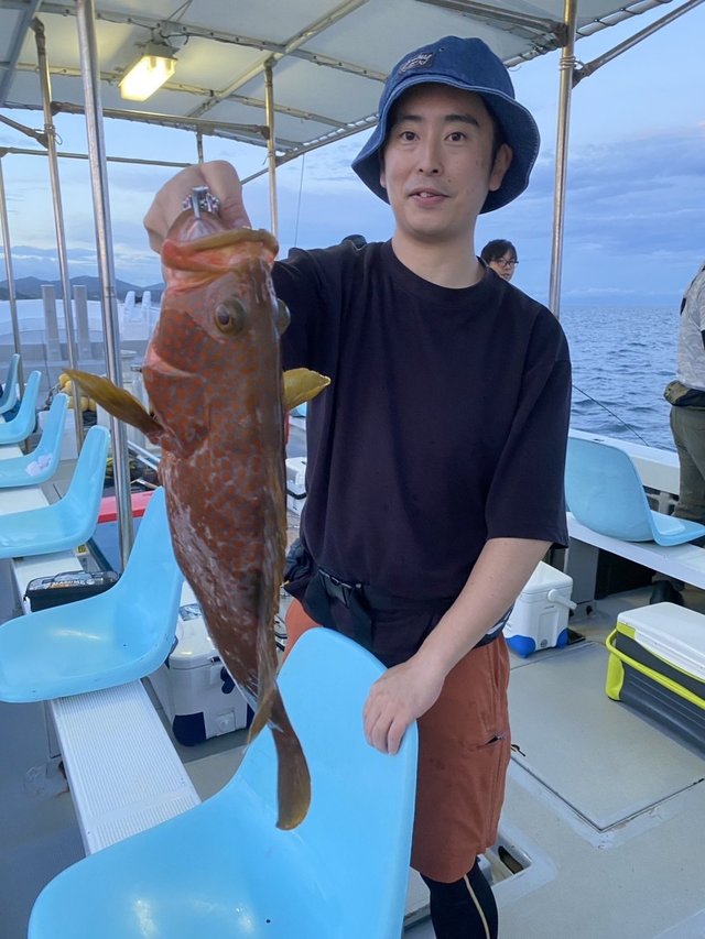 アコウ(キジハタ)