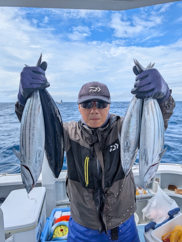 ホンガツオ(カツオ)