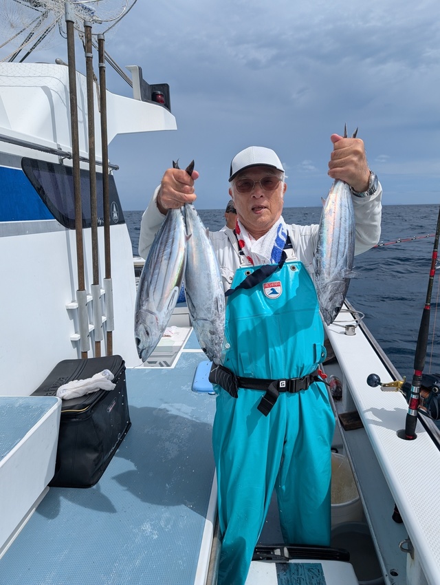 ホンガツオ(カツオ)