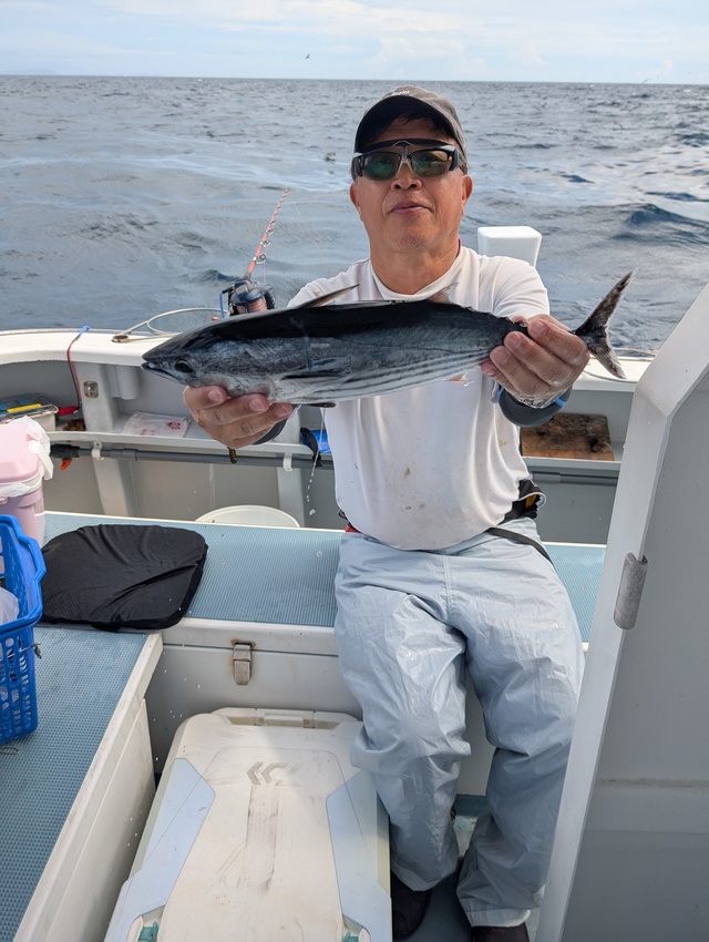 ホンガツオ(カツオ)