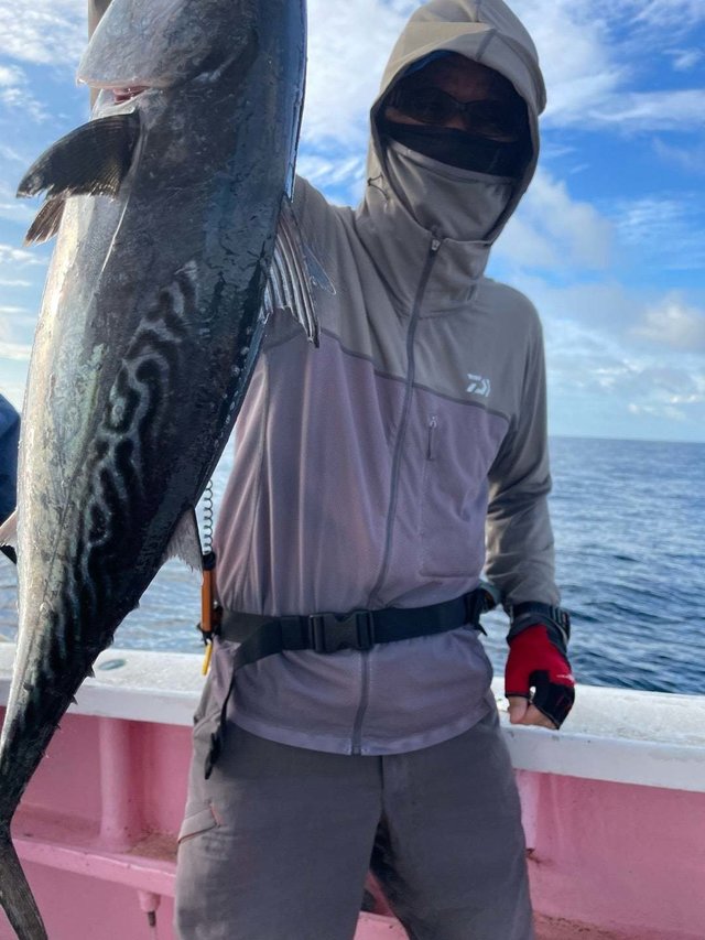 スマガツオ(スマ)