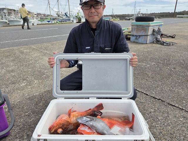 クロムツ・カンコ(ウッカリカサゴ)