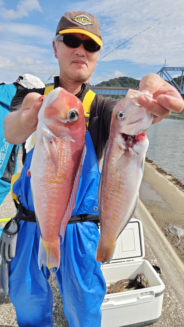 アカアマダイ・シロアマダイ