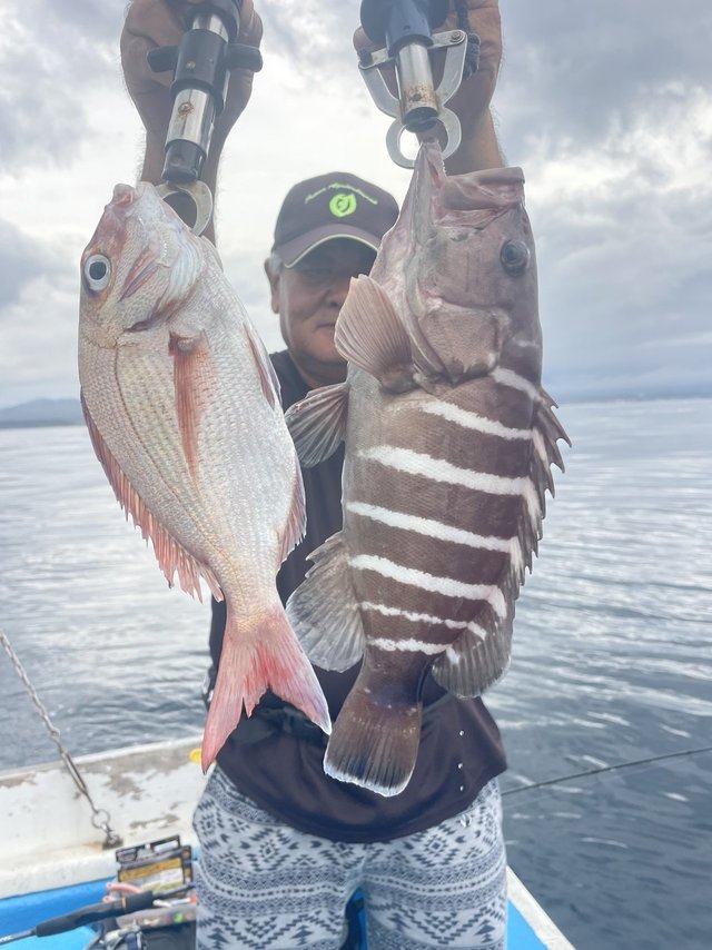 マダイ・マハタ