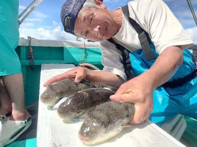 ショウサイフグ