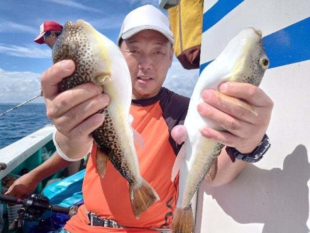 ショウサイフグ