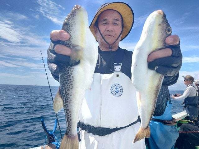 ショウサイフグ