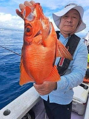 キントキ(チカメキントキ)