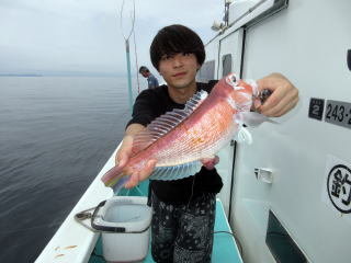 アマダイ(アカアマダイ)