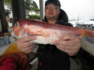 アマダイ(アカアマダイ)