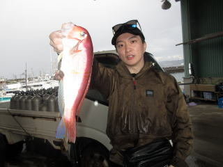 アマダイ(アカアマダイ)