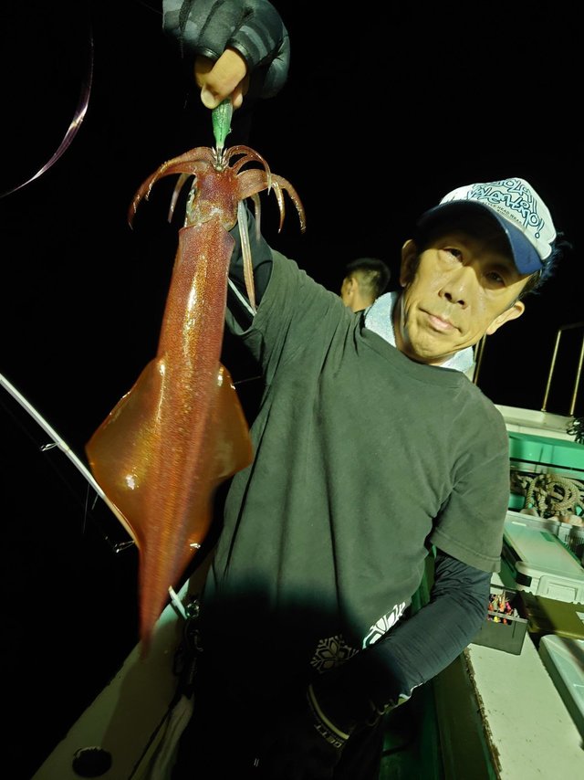 シロイカ(ケンサキイカ)