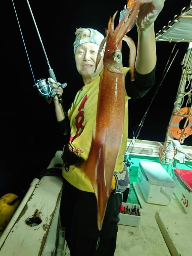 シロイカ(ケンサキイカ)