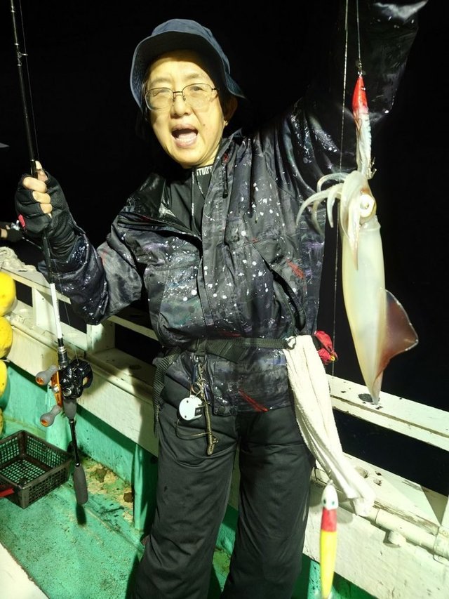 シロイカ(ケンサキイカ)