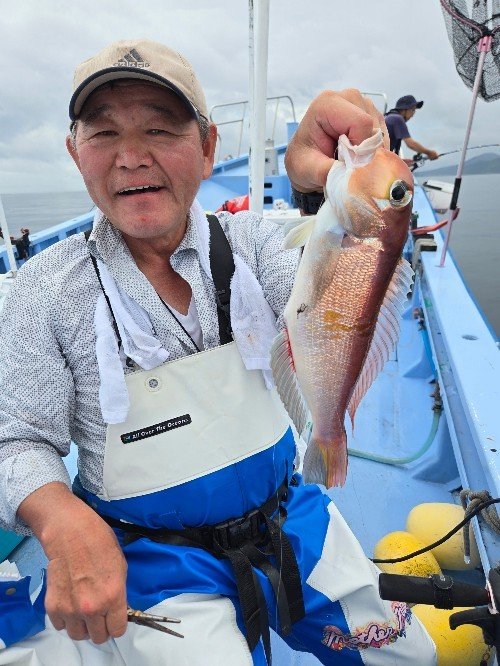 アマダイ(アカアマダイ)