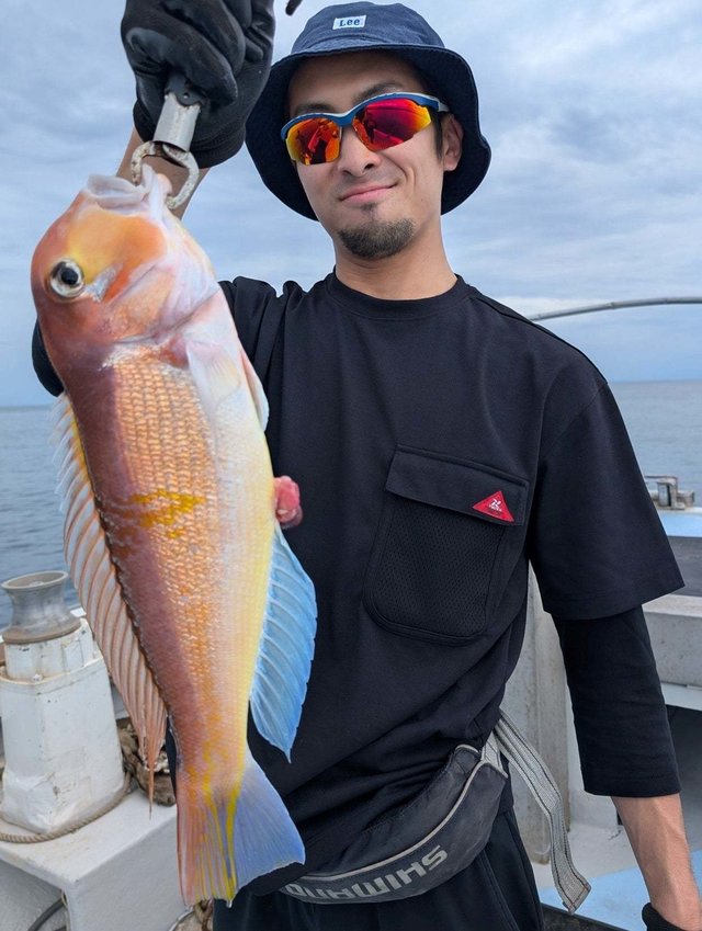 アマダイ(アカアマダイ)