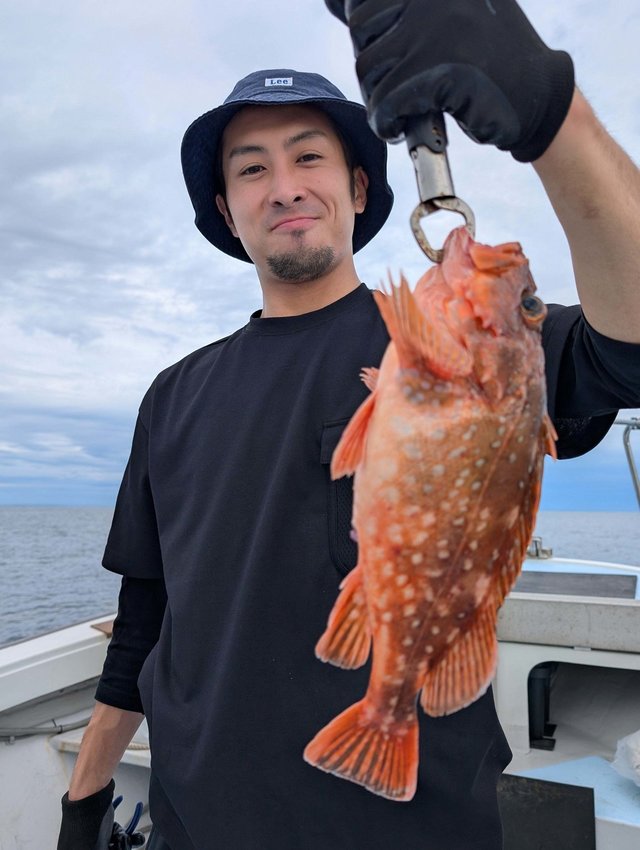 ウッカリカサゴ