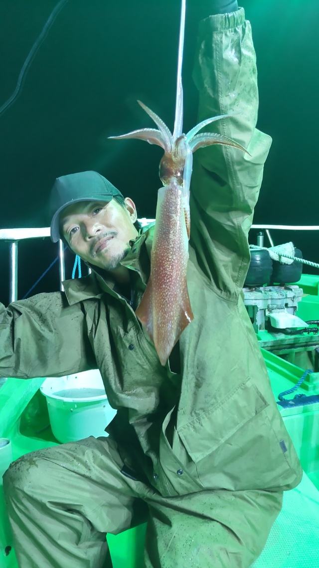 マルイカ(ケンサキイカ)