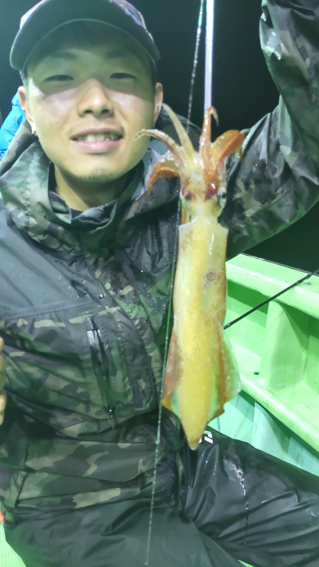 マルイカ(ケンサキイカ)