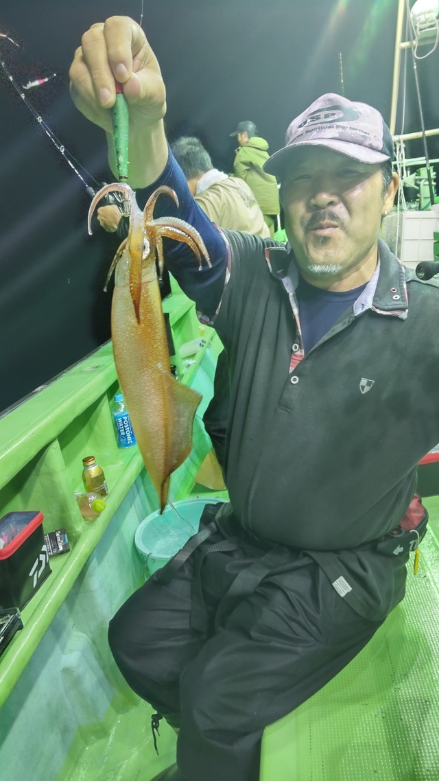 マルイカ(ケンサキイカ)