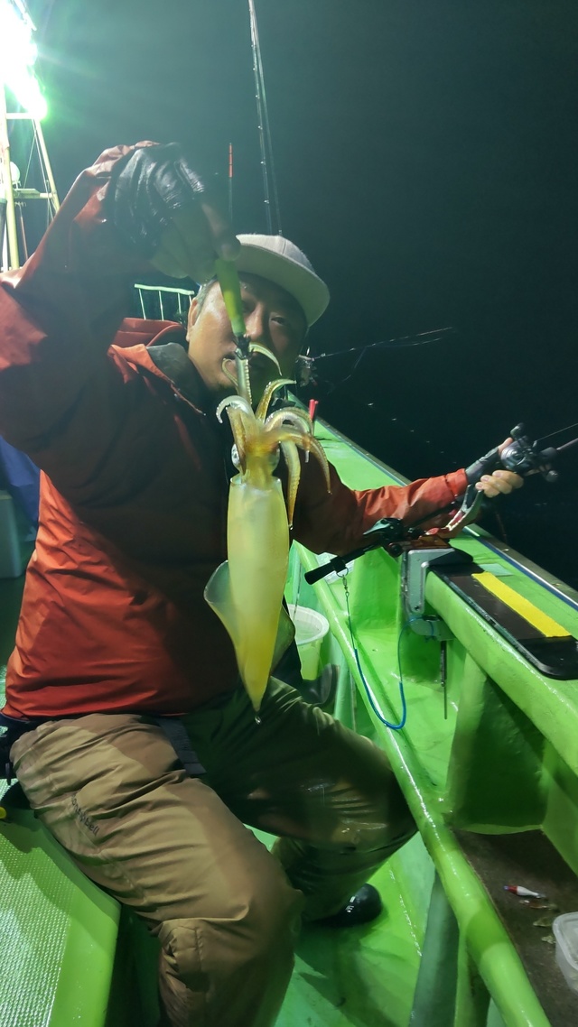 マルイカ(ケンサキイカ)