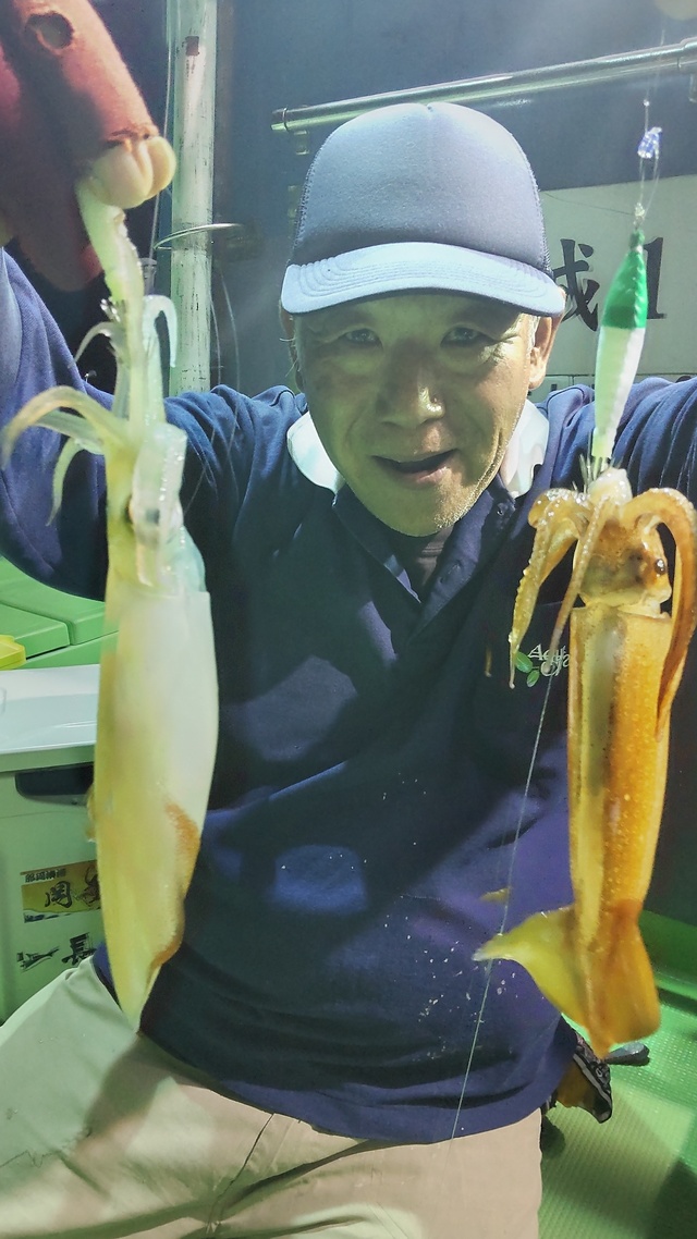 マルイカ(ケンサキイカ)