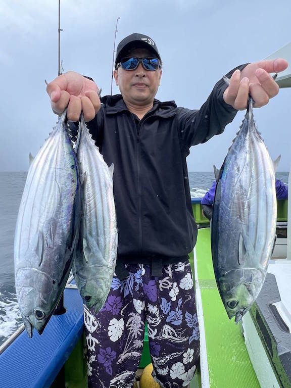 カツオ・ソーダ(ヒラソウダ)