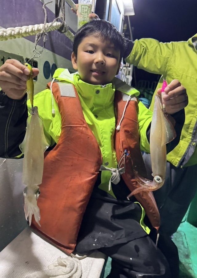 マルイカ(ケンサキイカ)