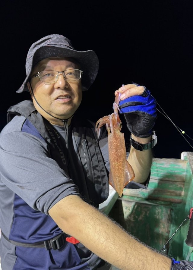 マルイカ(ケンサキイカ)