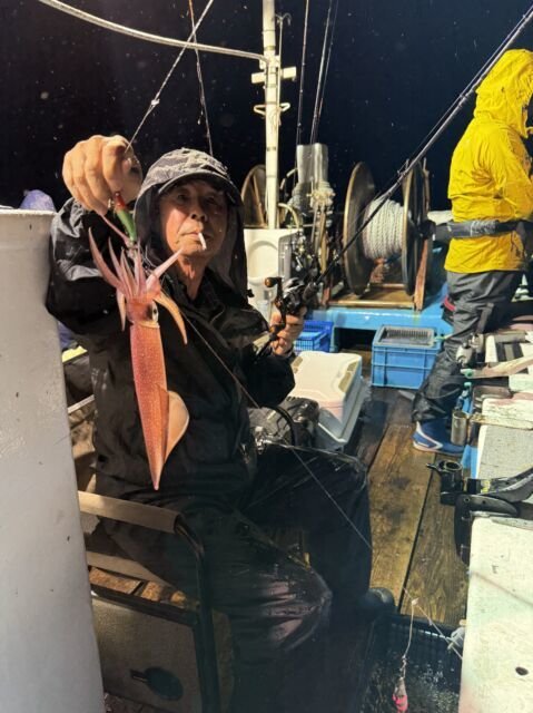 マイカ(ケンサキイカ)