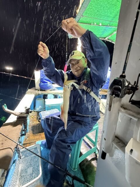 マイカ(ケンサキイカ)