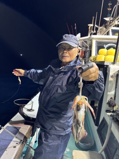 マイカ(ケンサキイカ)